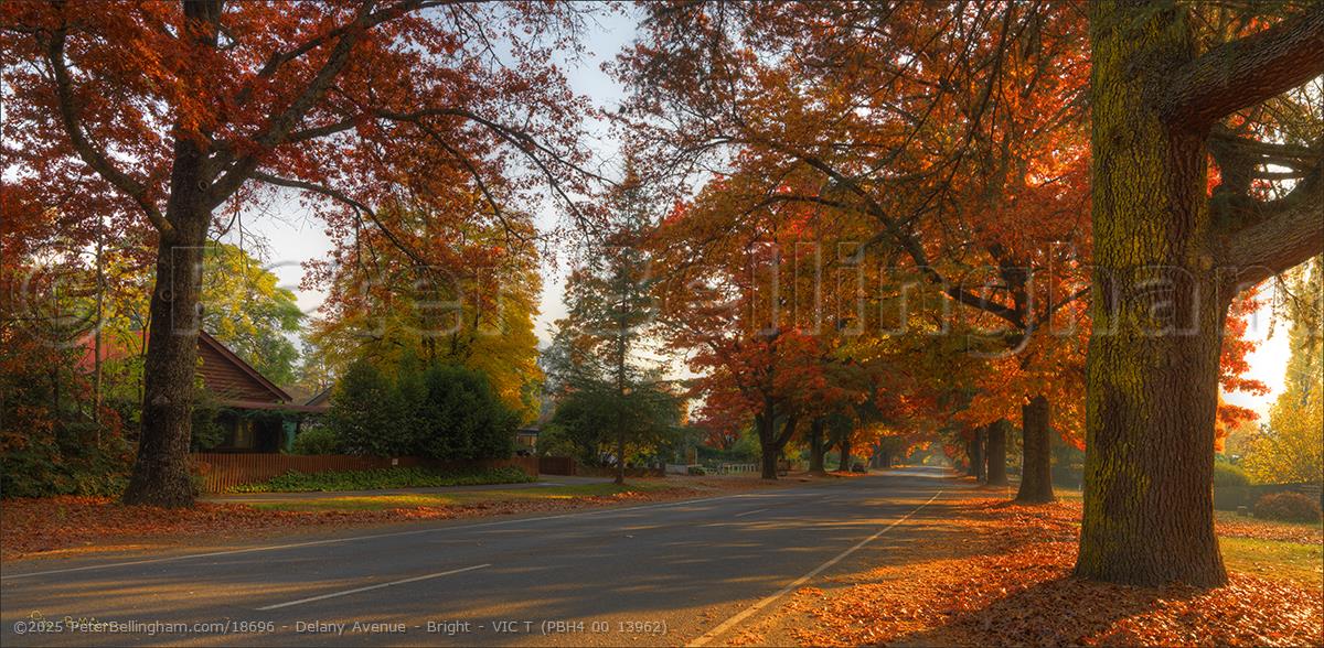 Peter Bellingham Photography Delany Avenue - Bright - VIC T (PBH4 00 13962)